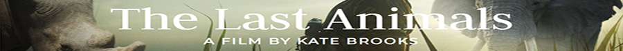 Kate Brooks' The Last Animals